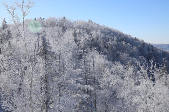 林海雪原