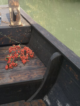 西溪湿地摇橹船与花艺
