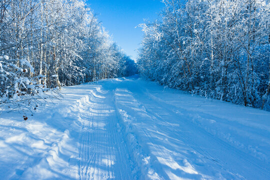 大雪雪景森林道路车辙