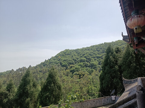 风景园林