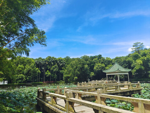 花池美景