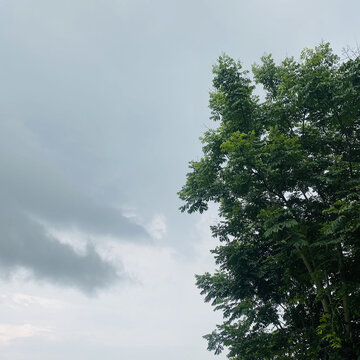 暴雨来临前