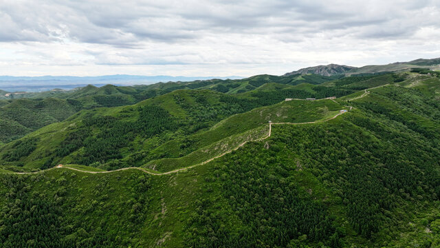 张家口大青山夏日