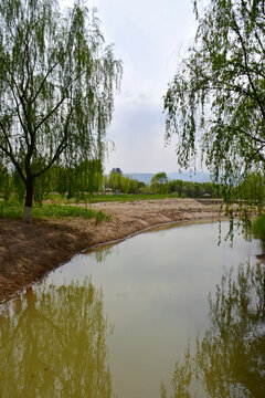 兰州湿地公园风光