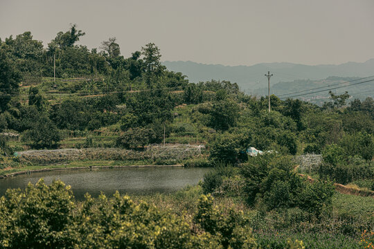 乡村田园