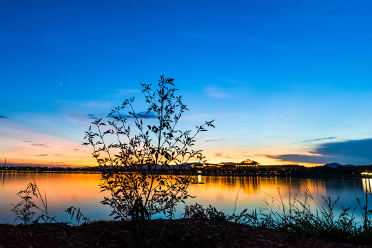 夕阳西下幸福湖边植物剪影