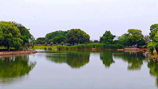 湖中景色