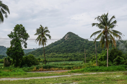 南国山景