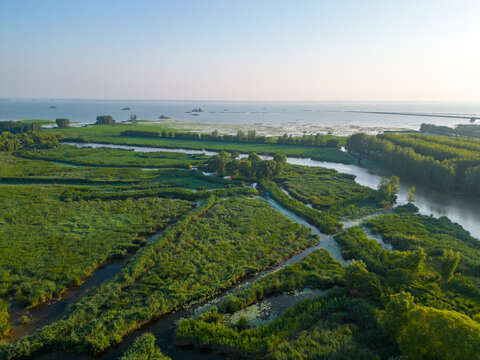 航拍滕州微山湖红荷湿地