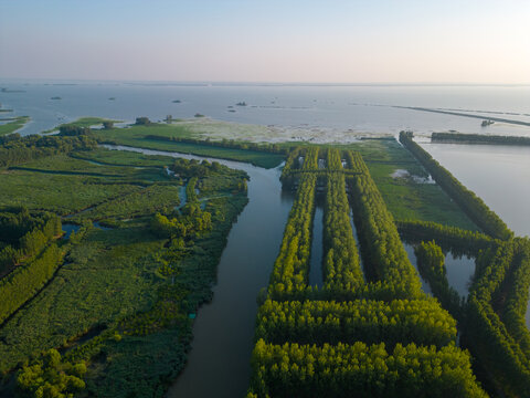 航拍滕州微山湖红荷湿地