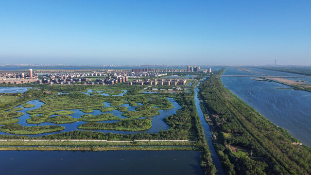 天津团泊湖湿地自然都市风光