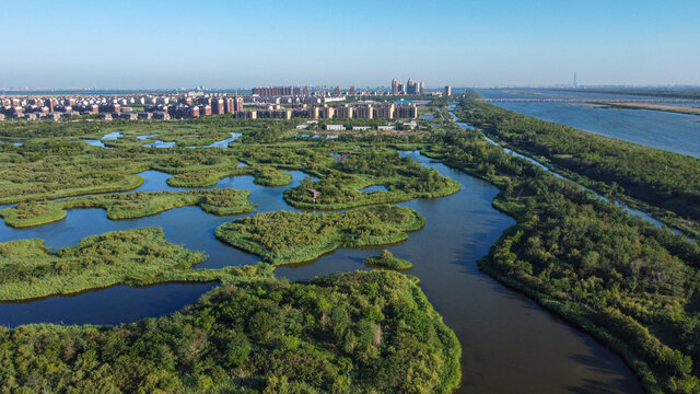 天津团泊湖湿地自然都市风光