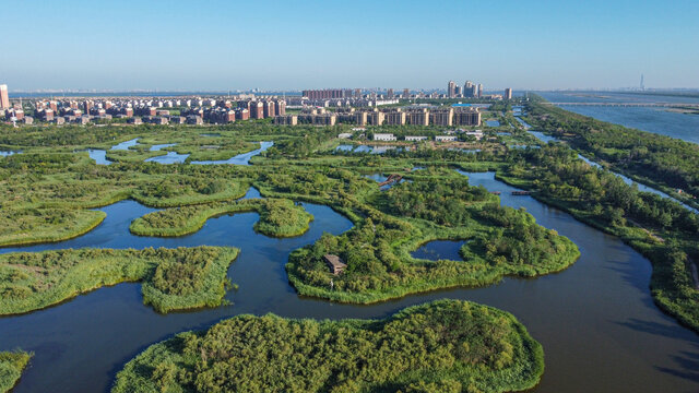天津团泊湖湿地自然都市风光