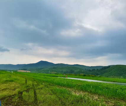 夏日的气息