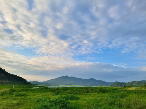 草甸子