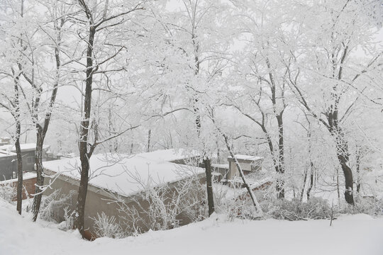 农舍初雪