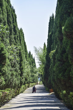 河南三门峡函谷关景区