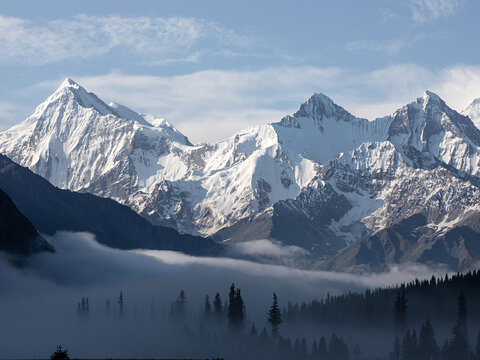 新疆伊犁森林中雪山的自然风景