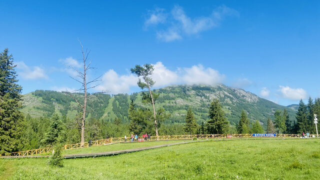 喀纳斯景区