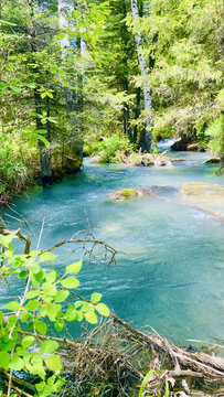 喀纳斯湖神仙湾