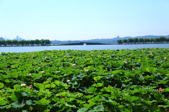 西湖山水