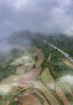 田园风景