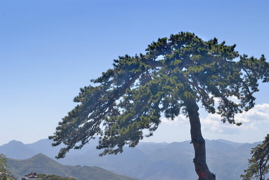 山西恒山风景区景观