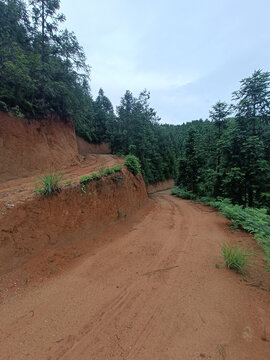 乡村泥巴路