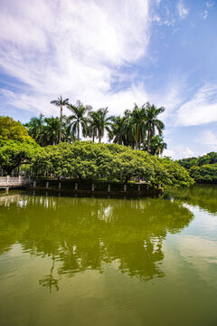 湖心岛风光