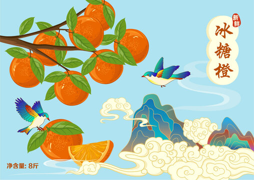 冰糖橙包装插画
