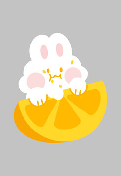 吃柠檬的兔兔