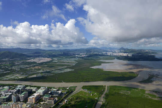 深圳湾红树林湿地风光