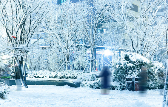 城市小区里冬季雪景