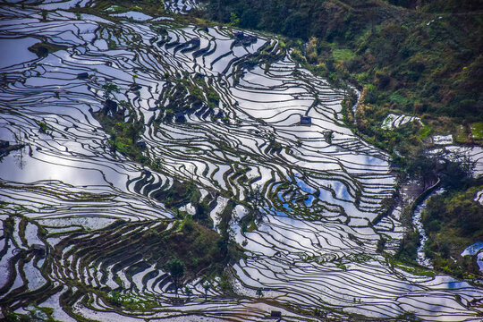 云南元阳梯田风光