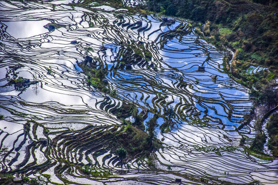 云南元阳梯田风光