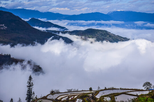 云南元阳梯田风光