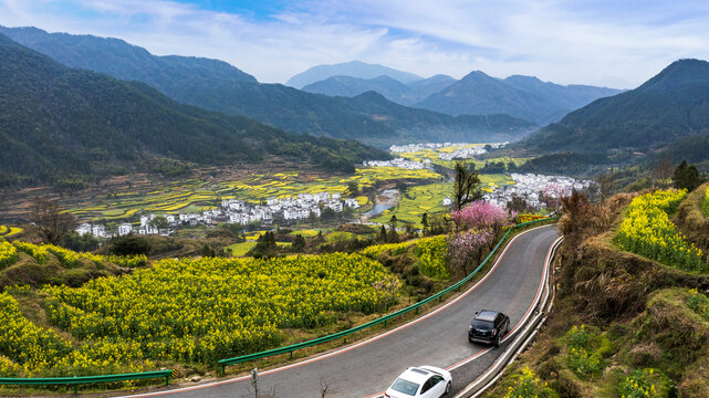 婺源江岭春天