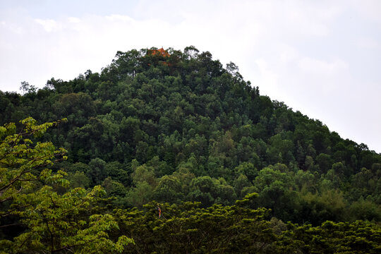 山顶