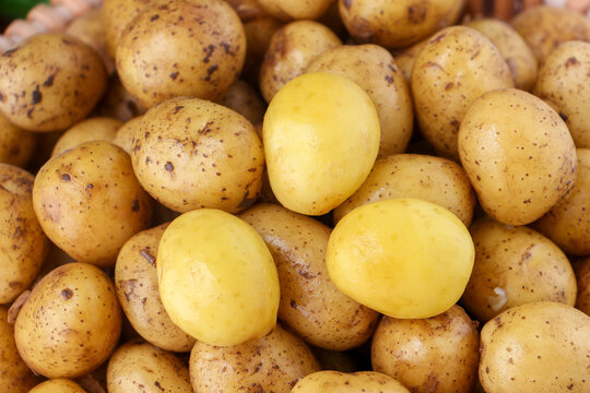 新鲜小土豆