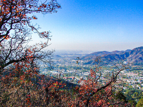 北京香山