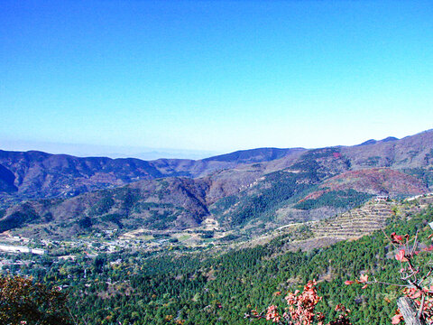 北京香山