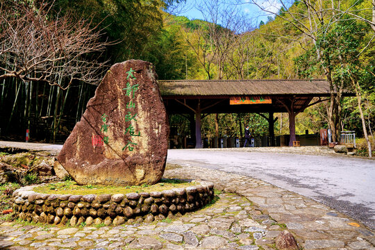 婺源大鄣山卧龙谷