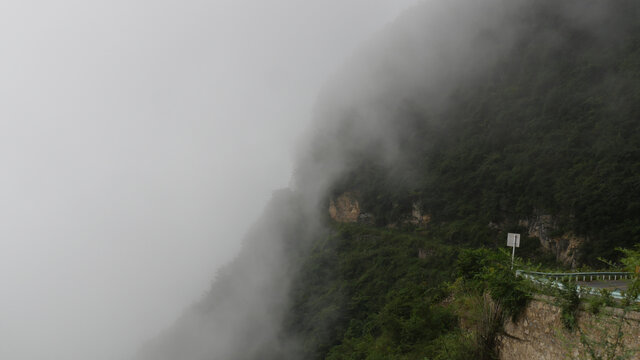 景区出现大雾天气