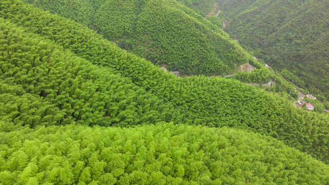 浙江省湖州安吉竹海竹山航拍