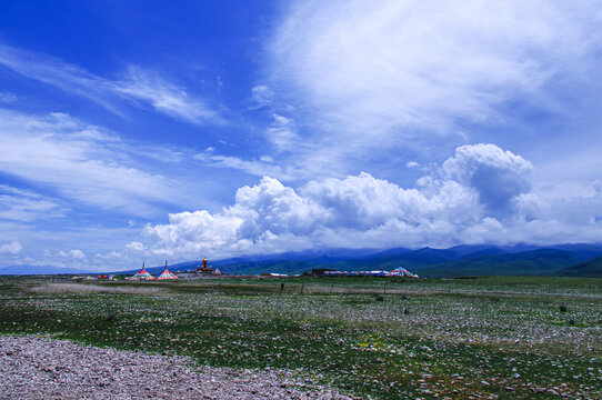 青海高原