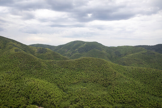 莫干山竹海