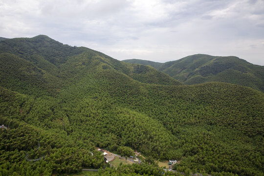 莫干山竹海