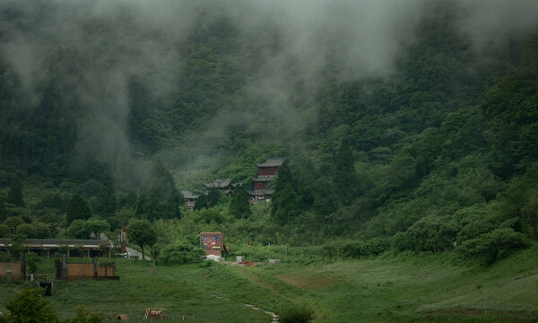 雾中山谷