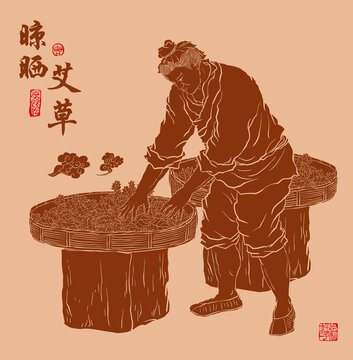 艾草晾晒插画线稿图