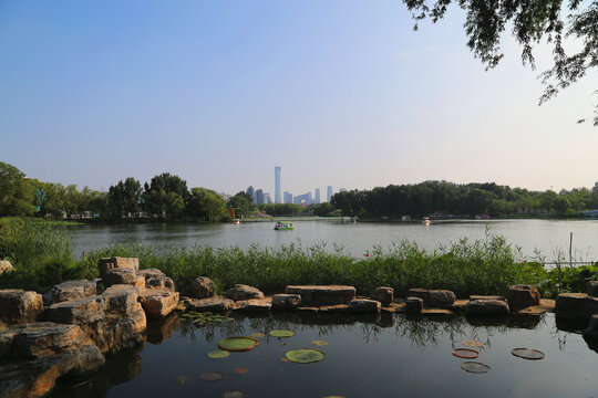 北京朝阳公园景色